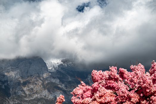 Alpine Splendour Hotels in Germany Bavarian Alps Retreat