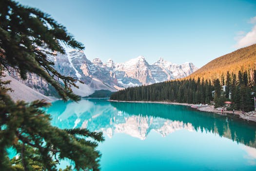 Mountain Majesty Hotels in Canada Banff Splendour