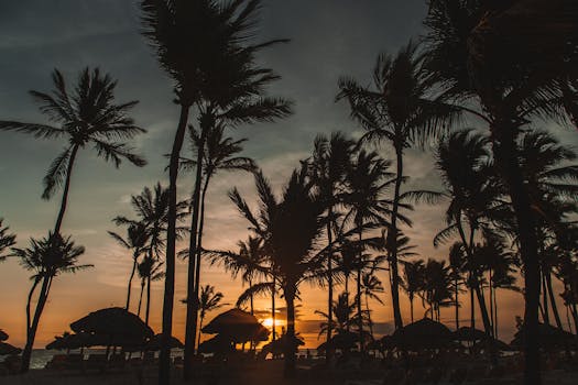 Ocean Paradise Villas in Dominican Republic Punta Cana Horizons