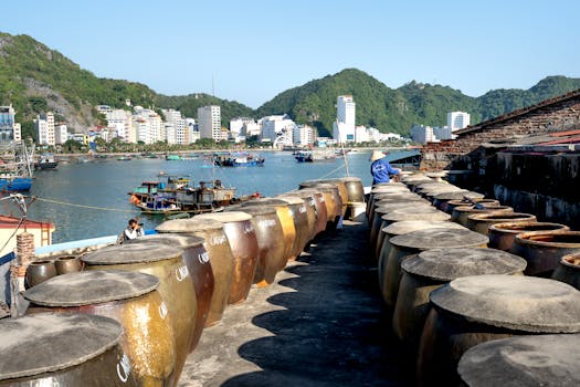 Seaside Bliss Hotels in Vietnam Cat Ba Island Grandeur
