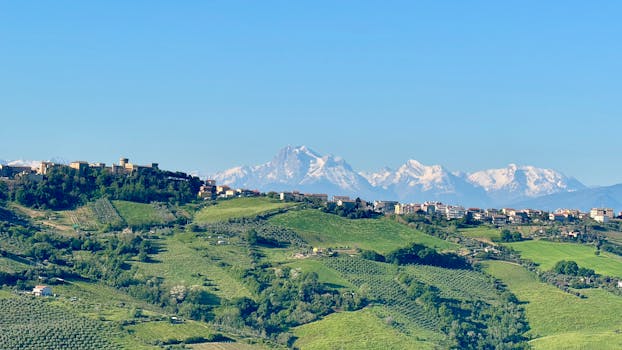 Vineyard Grandeur Hotels in Italy Marche Countryside