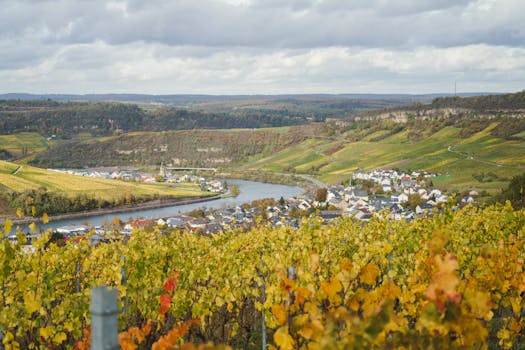 Vineyard Harmony Hotels in Portugal Setubal Valleys