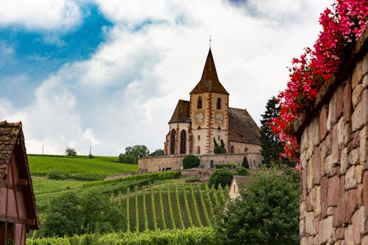Vineyard Retreat Hotels in France Alsace Bliss
