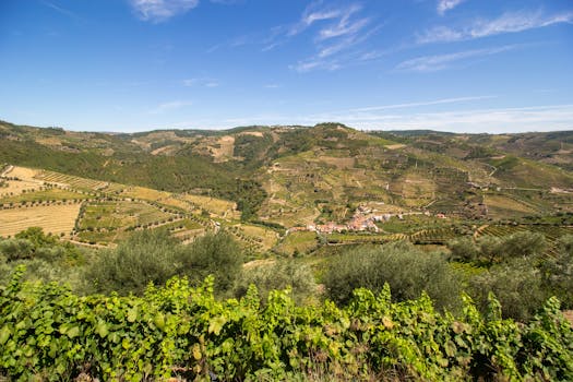 Vineyard Retreat Hotels in Portugal Douro Valley Bliss