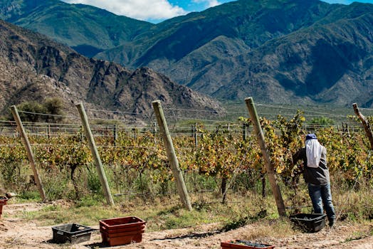 Vineyard Splendour Hotels in Argentina Catamarca Countryside