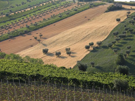 Vineyard Splendour Hotels in Argentina San Juan Valleys