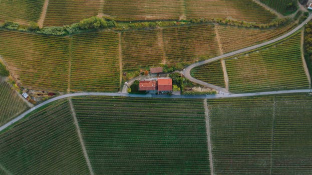 Vineyard Splendour Hotels in Italy Piedmont Valleys