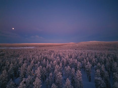 Winter Splendour Hotels in Finland Levi Arctic Retreat